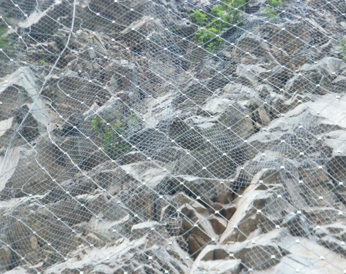 ���ӷ��o�W(w��ng)�đ�(y��ng)��