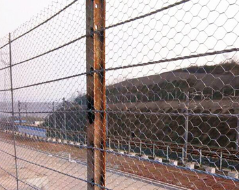 ߅�·��o(h��)�������g(sh��)