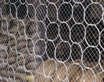 被動(dòng)環(huán)形防護(hù)網(wǎng)施工現(xiàn)場(chǎng)