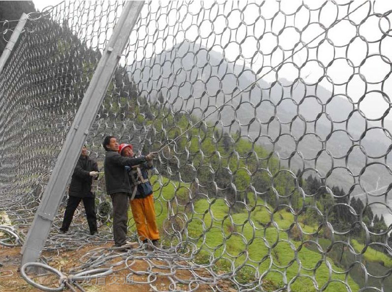 100�ͭh(hu��n)�α���(d��ng)���o(h��)�W(w��ng)